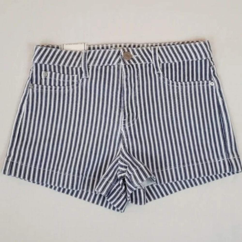 Indigo Rein stripe high rise shorts